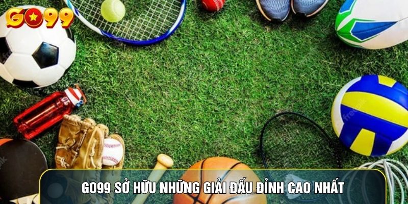 Go99 sở hữu những giải đấu đỉnh cao nhất