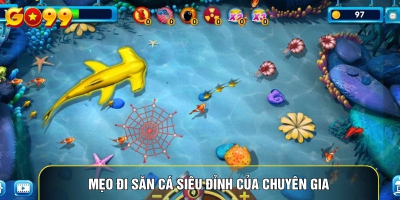 Mẹo đi săn cá siêu đỉnh của chuyên gia